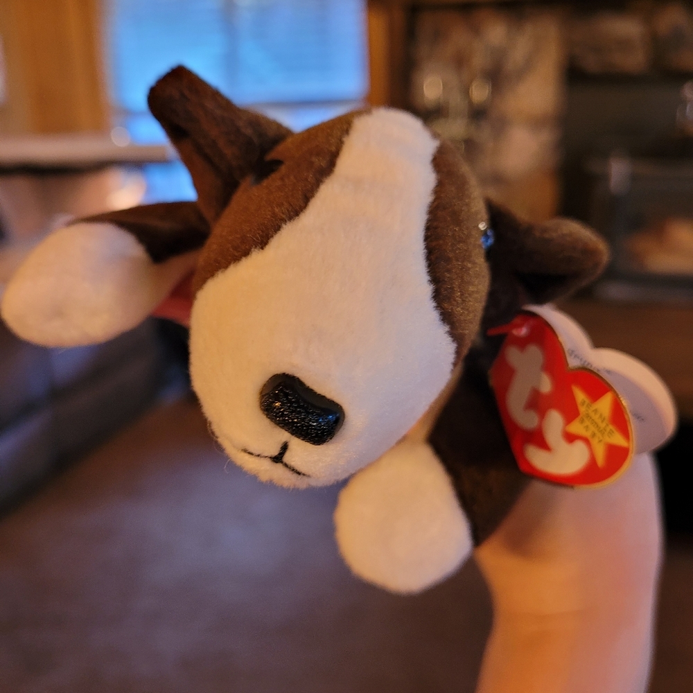 Bruno the dog Beanie baby